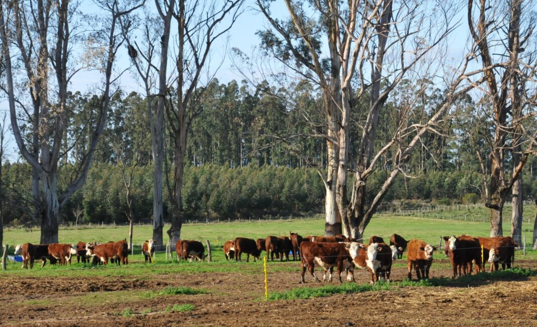 WhatsApp Image 2023-07-12 at 12.50.26