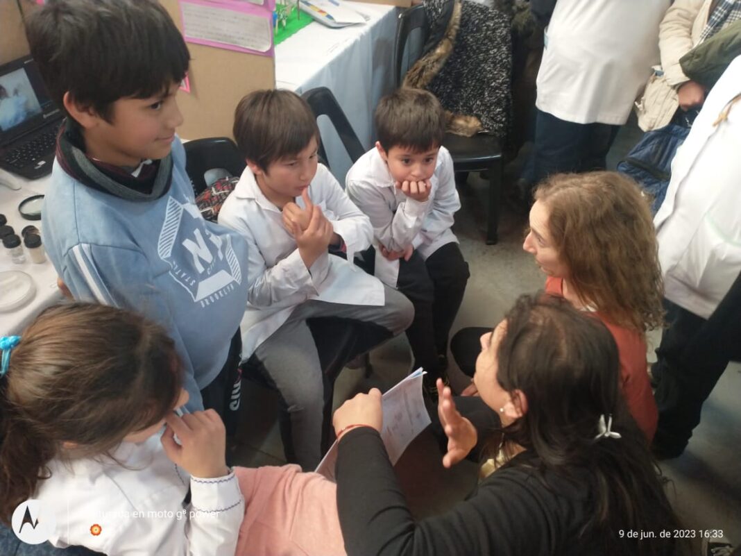 WhatsApp Image 2023-08-03 at 20.58.25