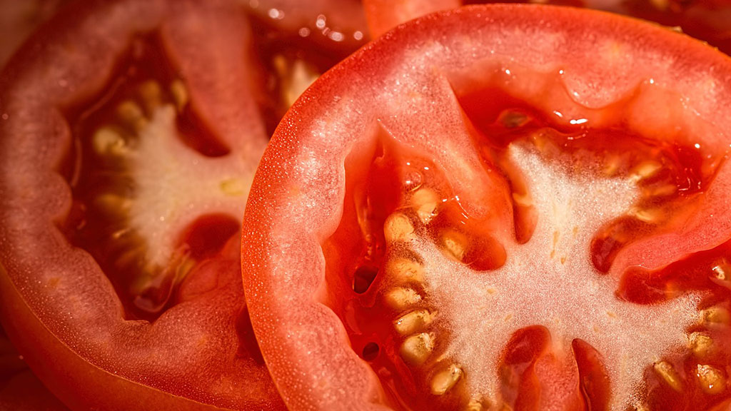 tomates2024