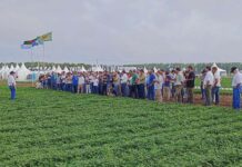 UNA MULTITUD VISITO LA 10° EDICION DEL CIRCUITO DEL MANI